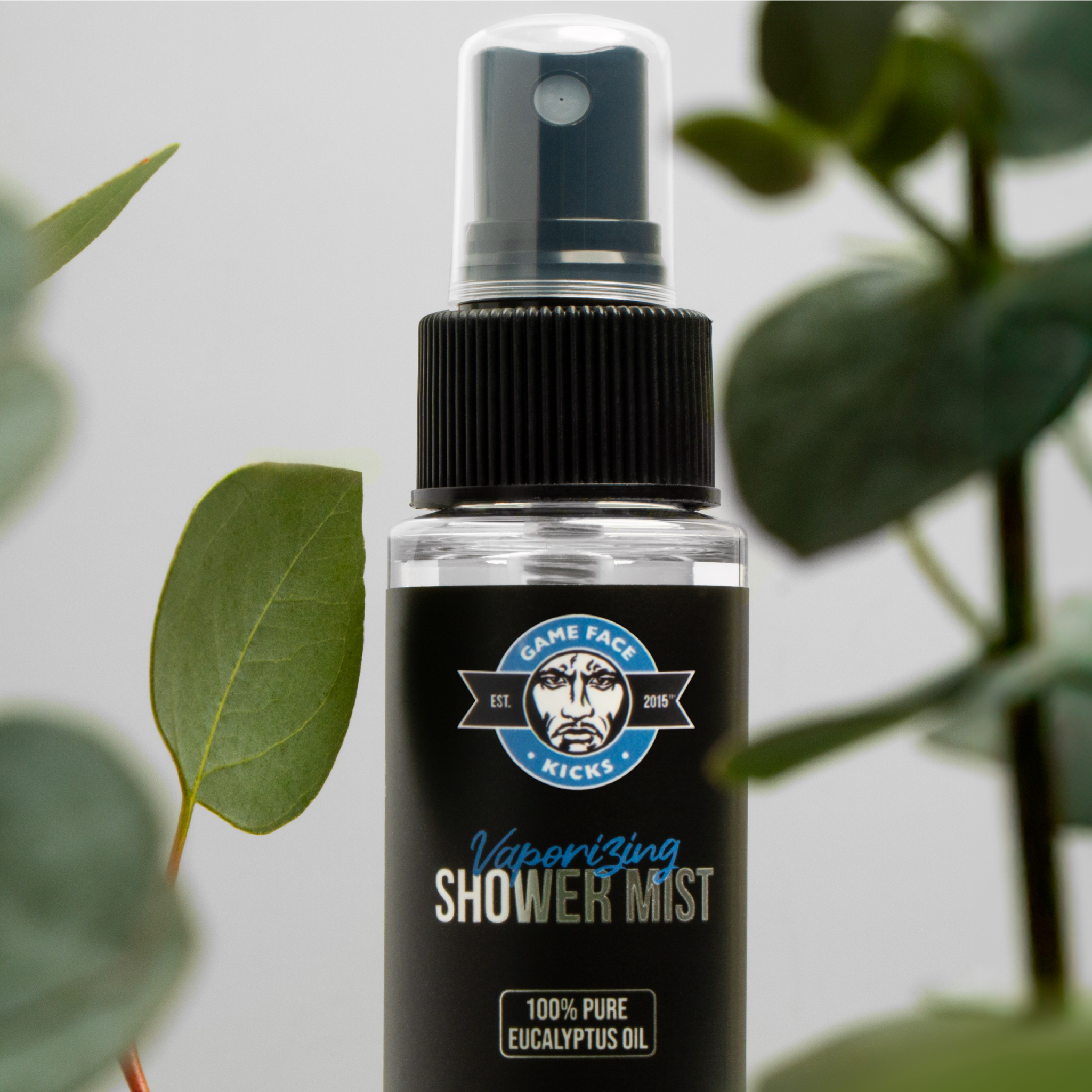 Vaporizing Shower Mist