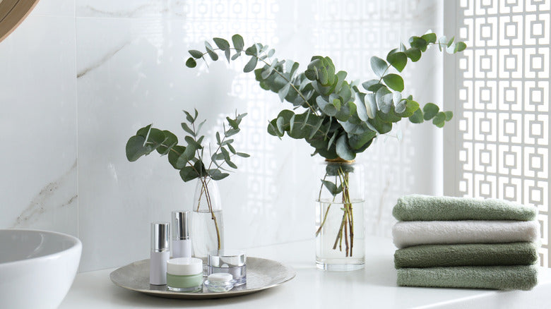 Health Benefits of Incorporating Eucalyptus Oil in Your Shower Routine